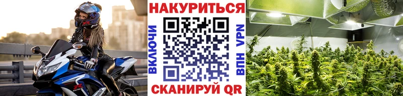 наркотики  Уварово  Бошки Шишки планчик 